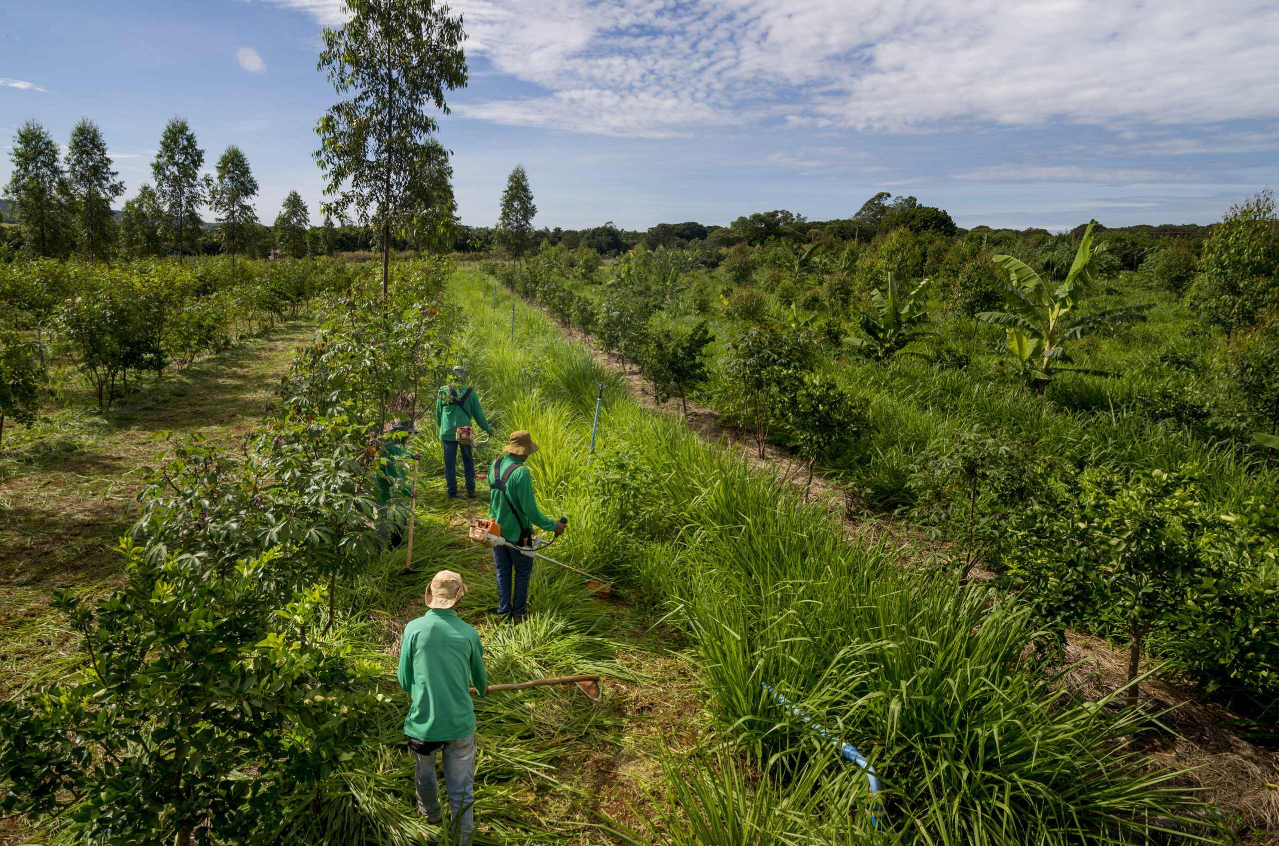 Campo brasileño. © Climate Policy Initiative.